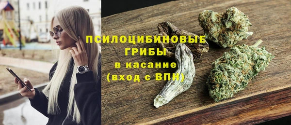 стаф Абдулино