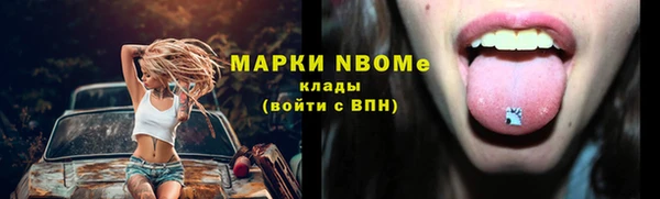 СК Няндома
