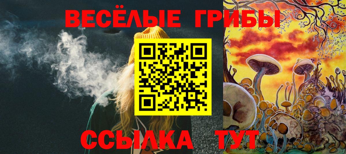 Галлюциногенные грибы прущие грибы  Вход с VPN  Урус-Мартан 