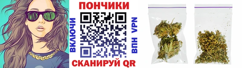 мориарти официальный сайт  Урус-Мартан  Шишки марихуана Amnesia 